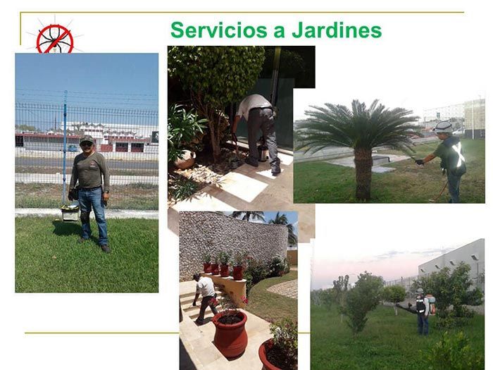 SERVICIOS A JARDINES