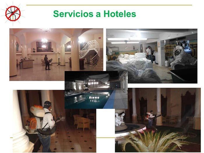 UAY - SERVICIOS A HOTELES