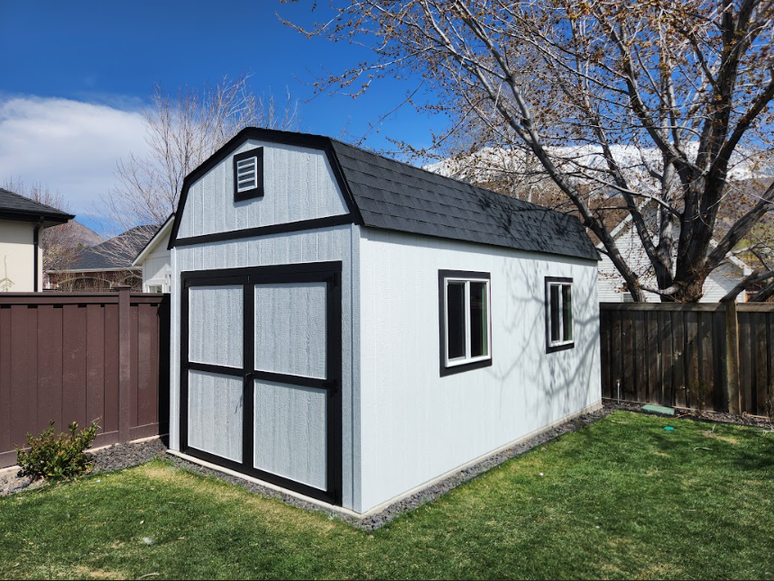 A white shed with a gambrel roof, black trim, and two windows, situated in a backyard with a fence and a tree.