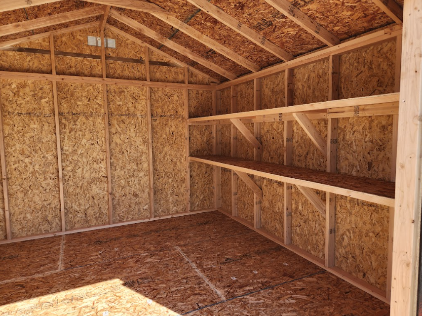 The interior of an unfinished wooden shed featuring exposed wall studs and two sturdy, built-in wooden shelves.
