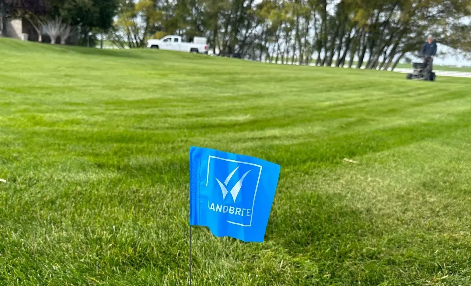 A blue flag is sitting in the middle of a lush green field.