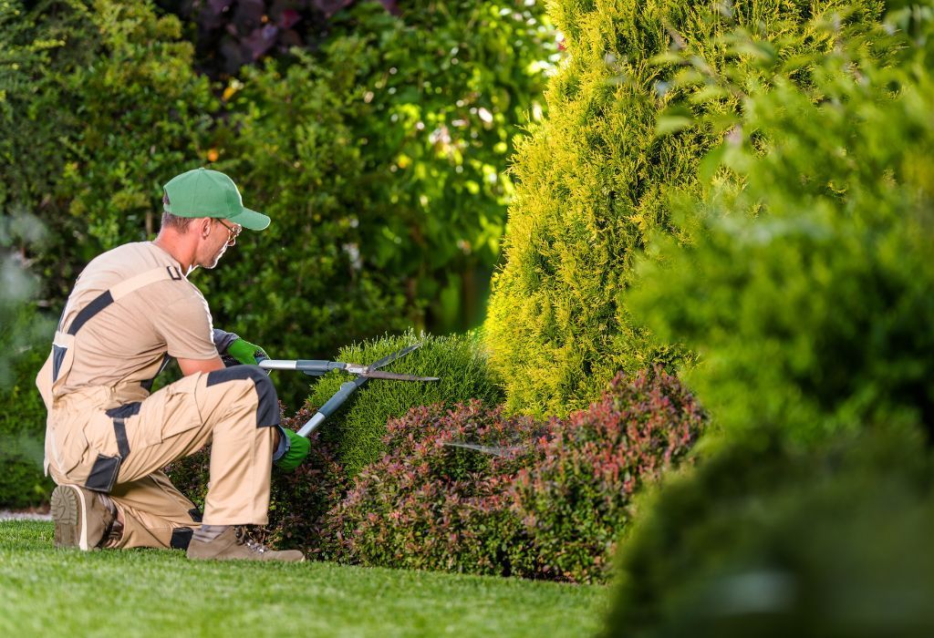 Idaho lawn care guide for a healthier lawn