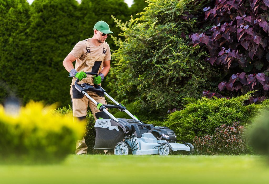 Idaho lawn and pest care
