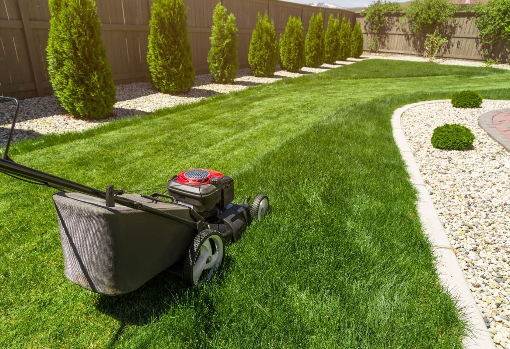 lawn care tips Idaho