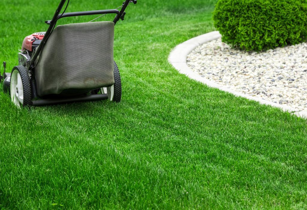 Lawn cleaning and maintenance services
