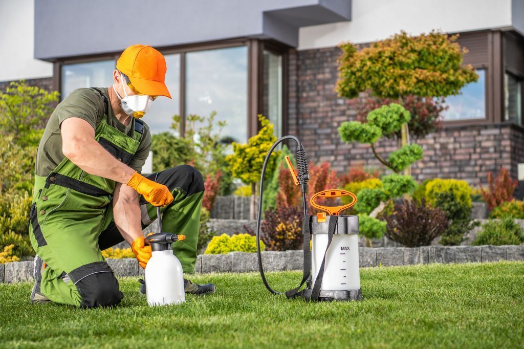 pest control service