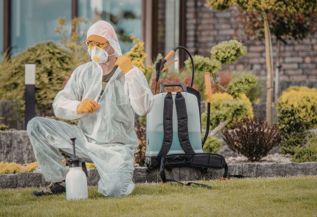 lawn pests in Burley Idaho