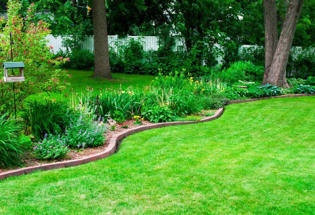 complete lawn care solutions