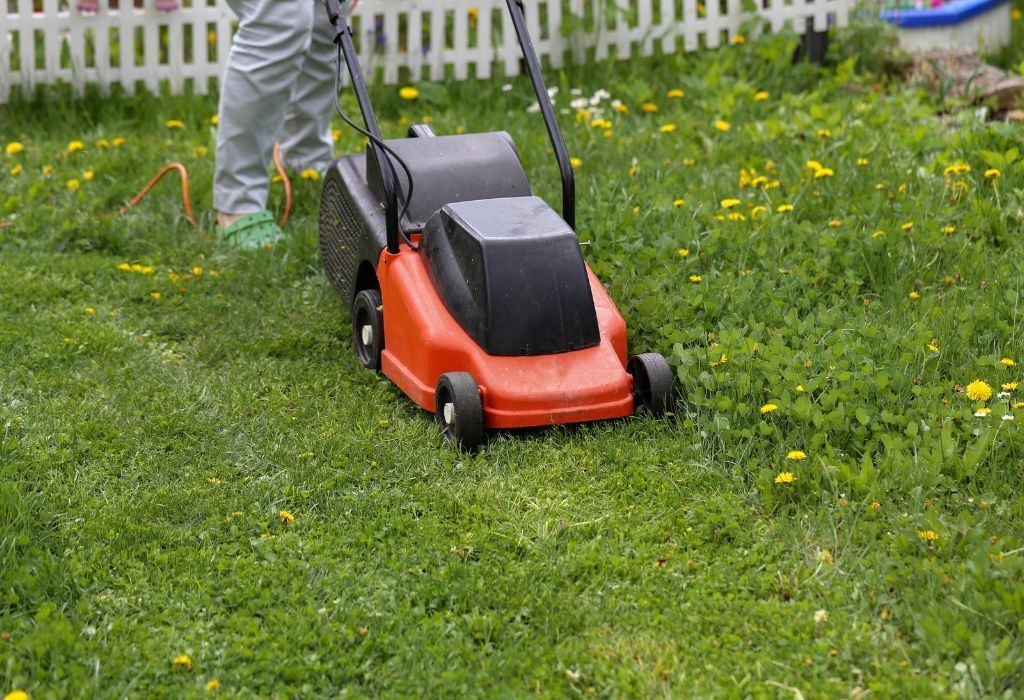 lawn care Burley Idaho