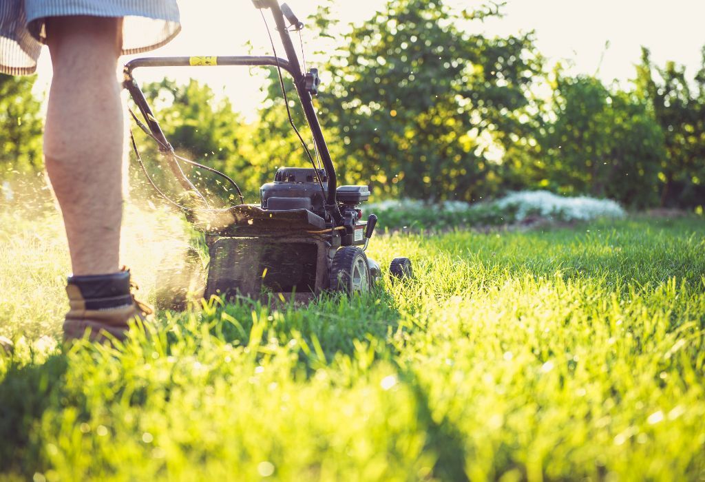 why your lawn struggles in Pocatello ID