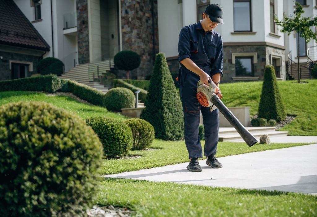 lawn maintenance service