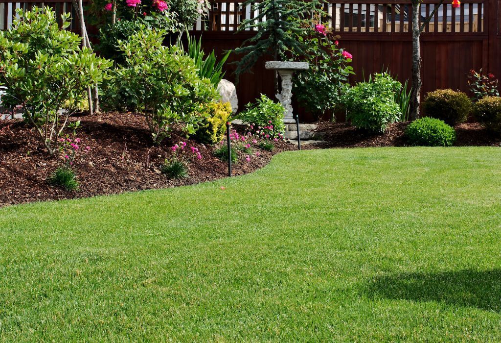 pest control and lawn maintenance
