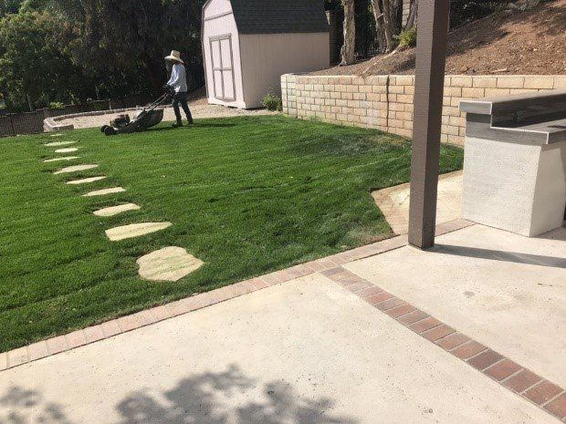Lawn with stepping stones, a person mowing, shed, and patio with an outdoor kitchen.