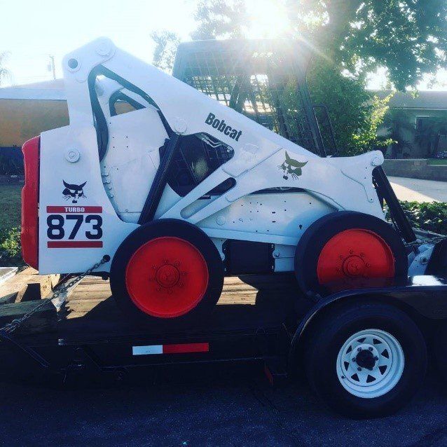 Bobcat skid steer loader, white and red, on a trailer. Sunlight shines behind it.