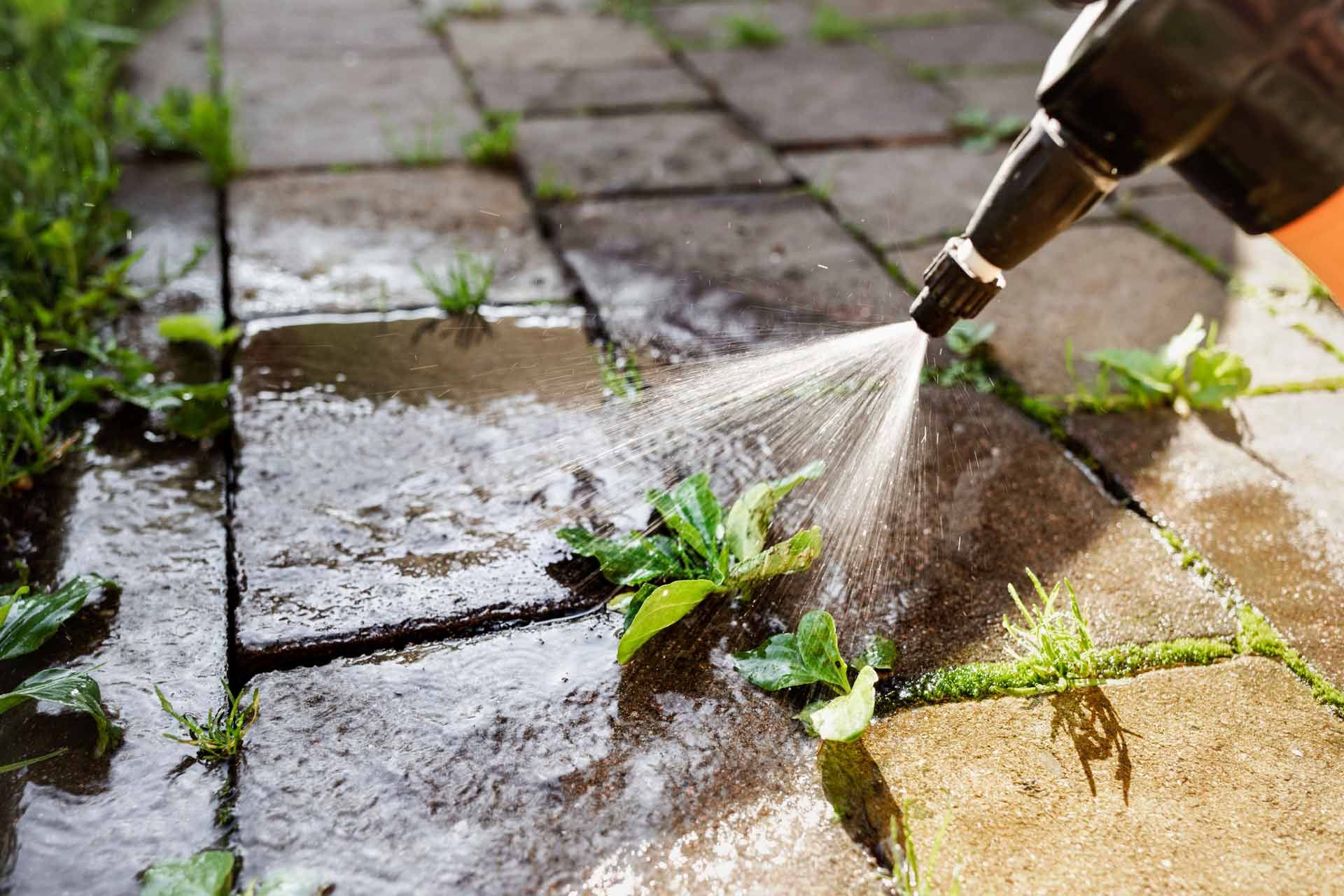 A nozzle spraying weeds growing between paving stones on a patio.