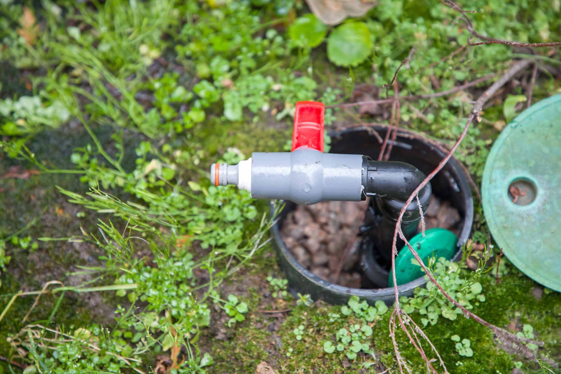 A sprinkler valve in a black box, with a red handle and green lid, surrounded by plants and grass.