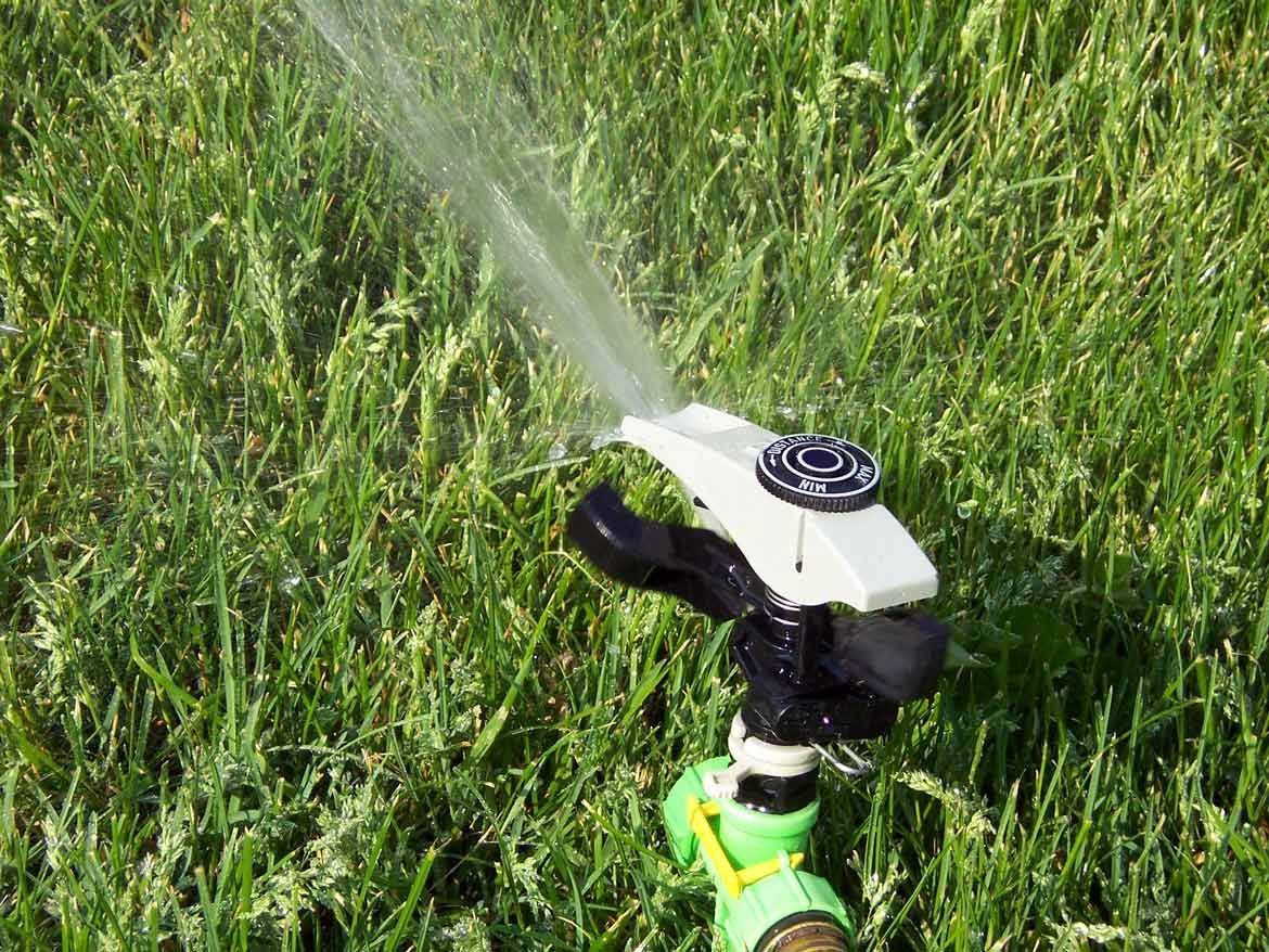 A lawn sprinkler watering a patch of green grass.