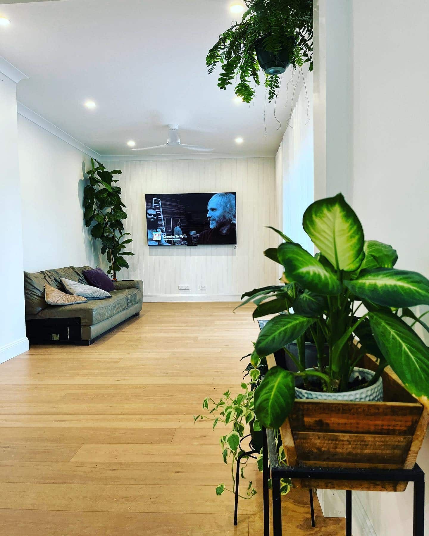 Clean And White Living Room With Plants - Licensed Builder in Newcastle, NSW