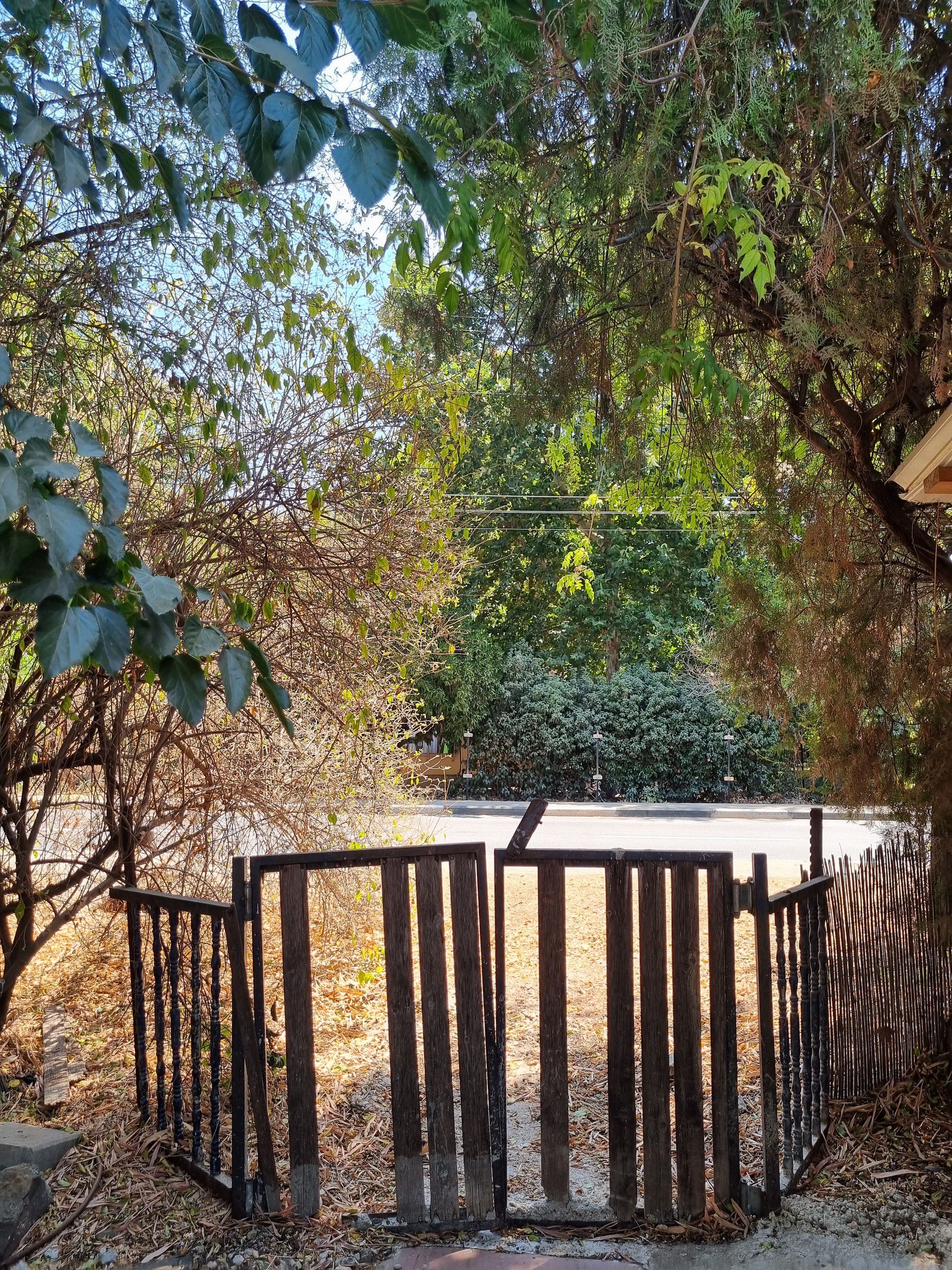 לדעת לצלם בסלולרי זה לדעת לספר את הסיפור שלי בתמונה