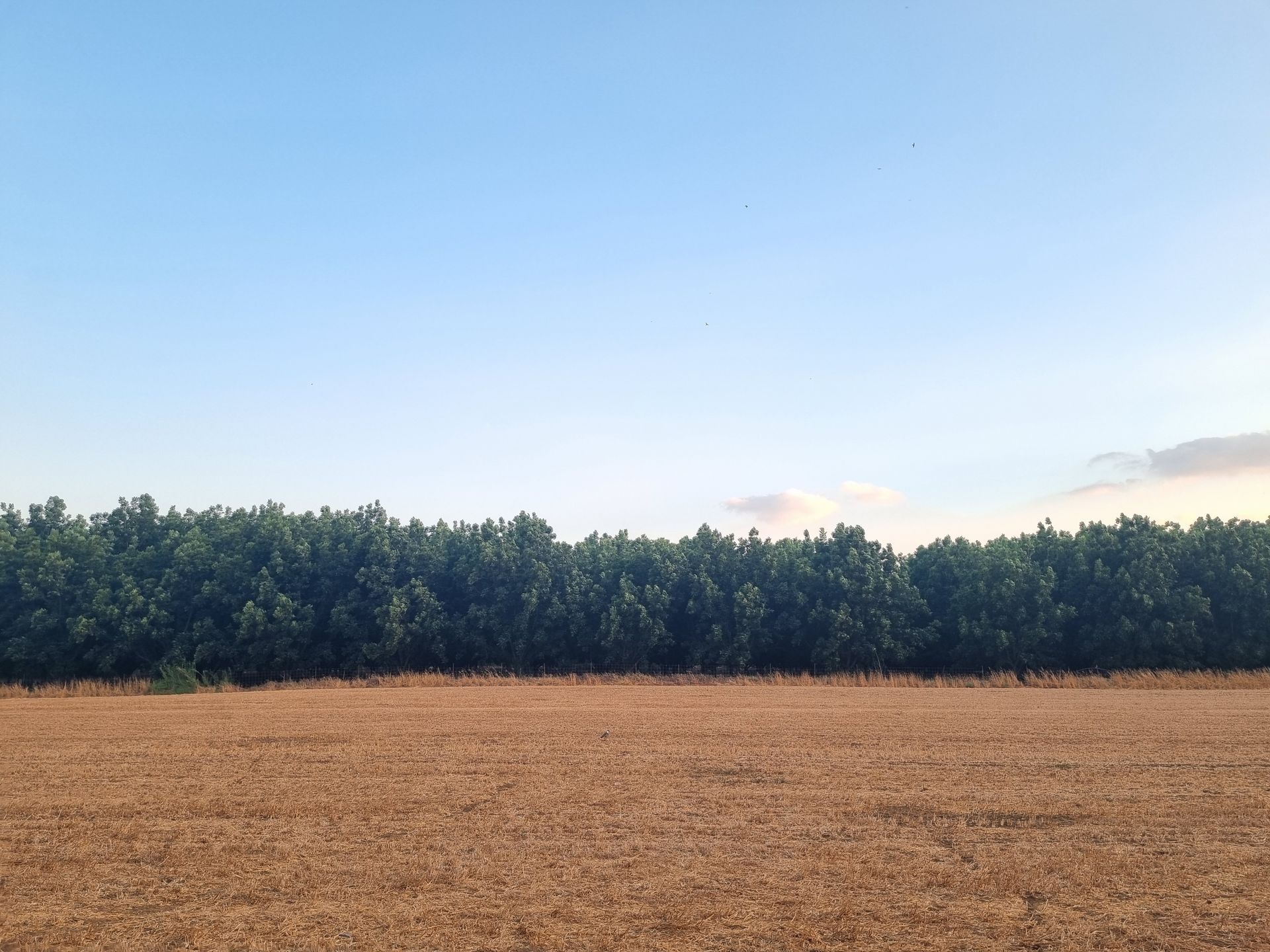 לדעת לצלם בסלולרי זה לדעת לספר את הסיפור שלי בתמונה