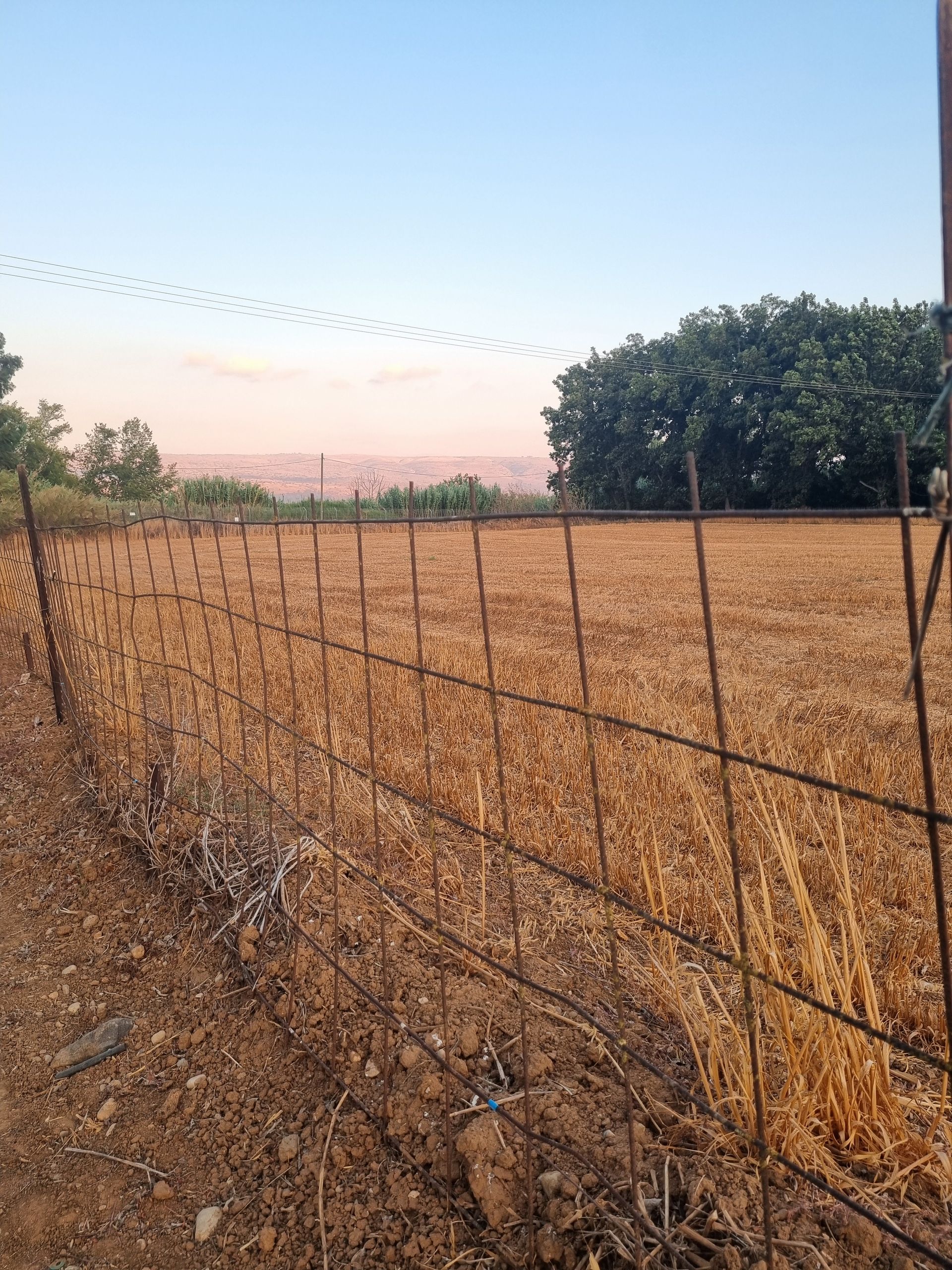 לדעת לצלם בסלולרי זה לדעת לספר את הסיפור שלי בתמונה