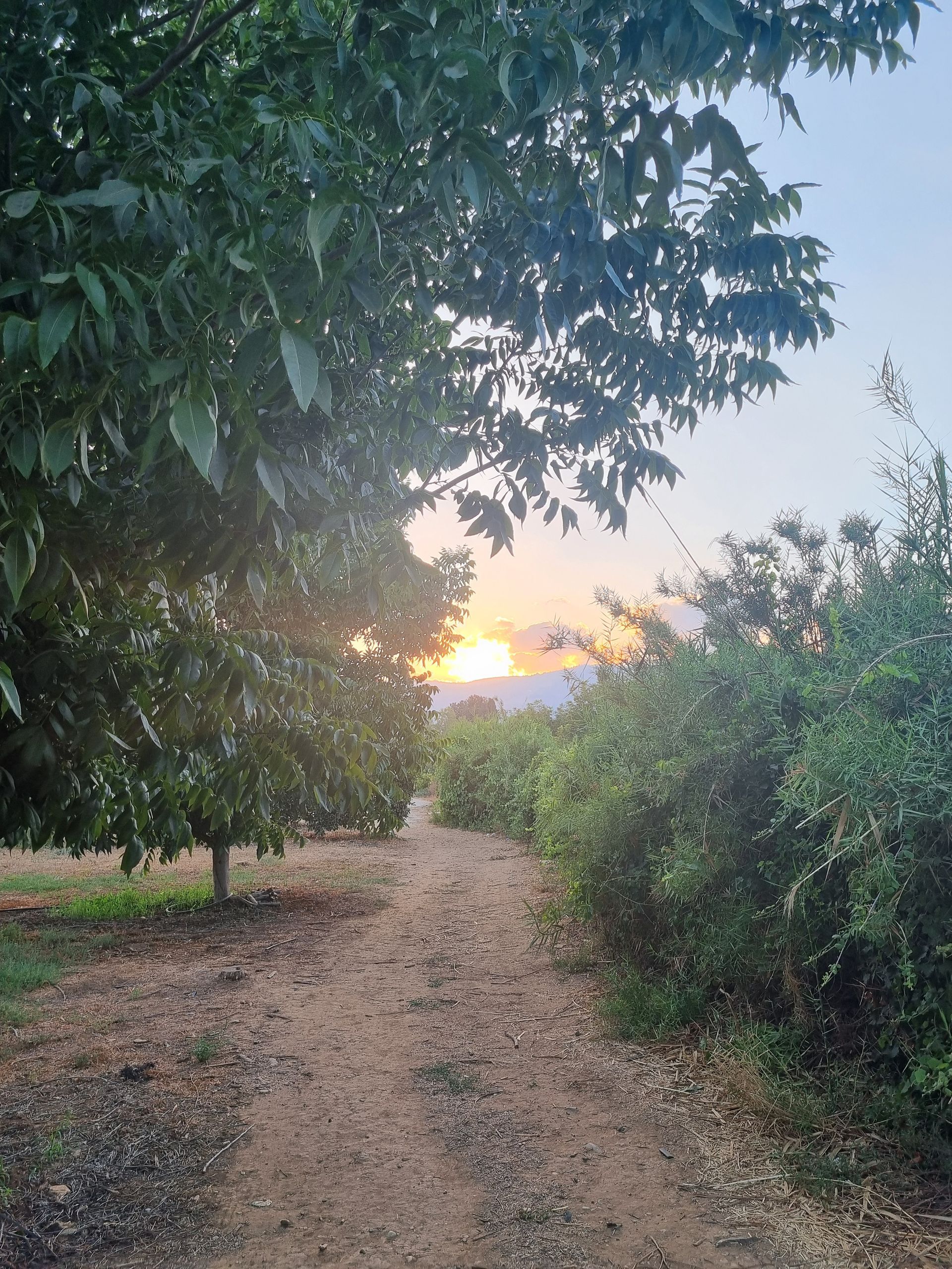 לדעת לצלם בסלולרי זה לדעת לספר את הסיפור שלי בתמונה