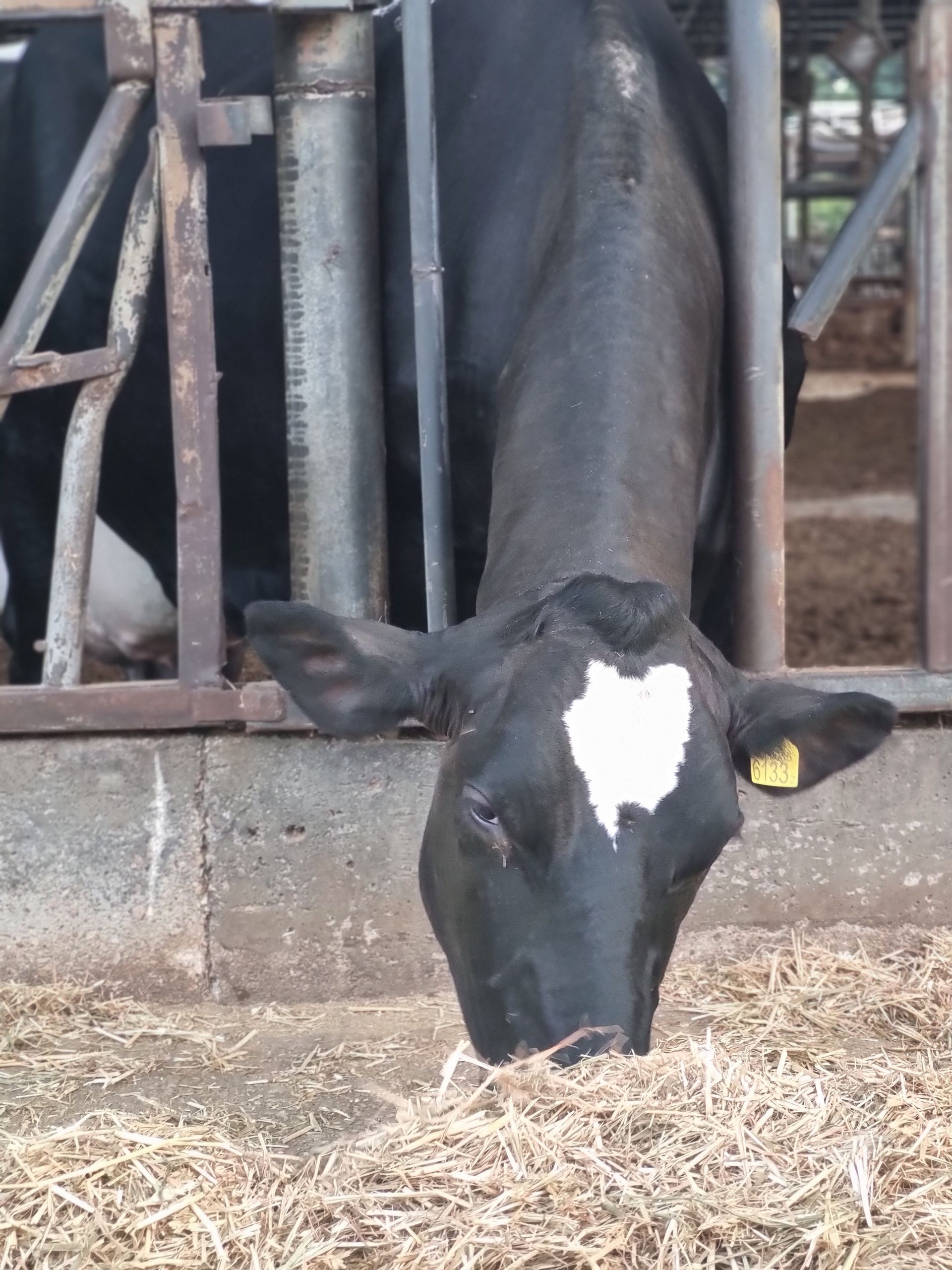 לדעת לצלם בסלולרי זה לדעת לספר את הסיפור שלי בתמונה