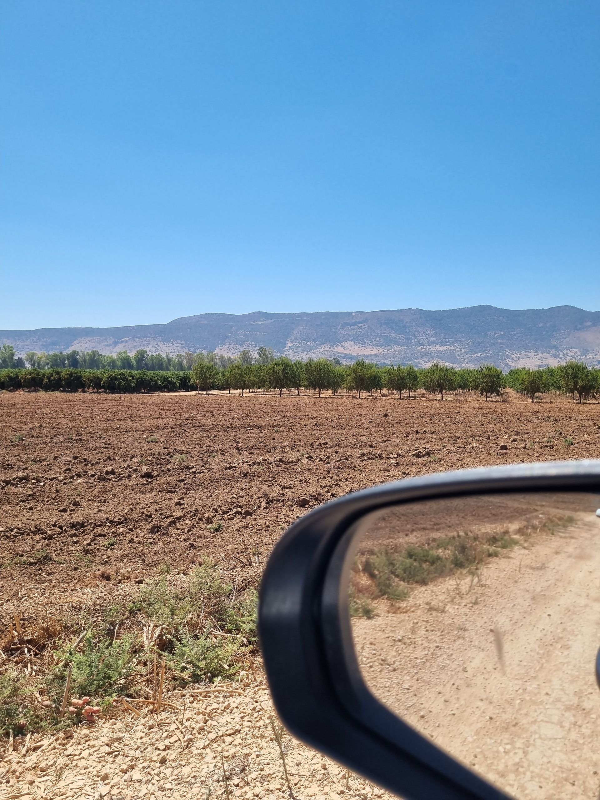 לדעת לצלם בסלולרי זה לדעת לספר את הסיפור שלי בתמונה