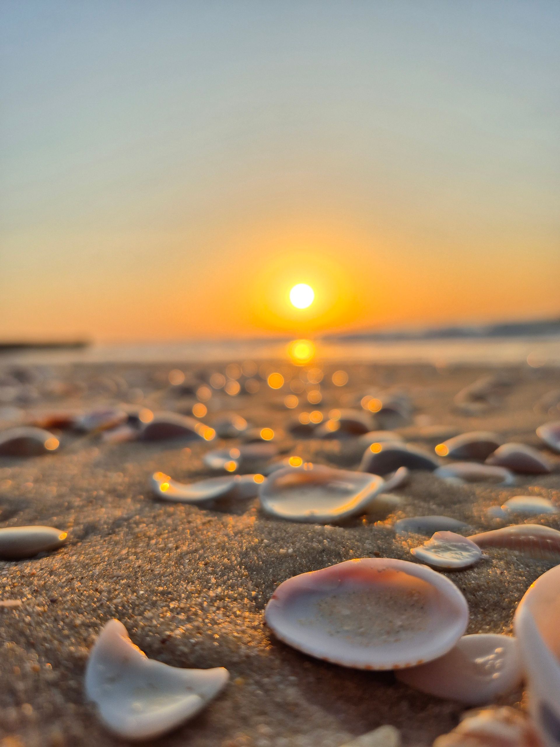 לדעת לצלם בסלולרי רגעים של ים