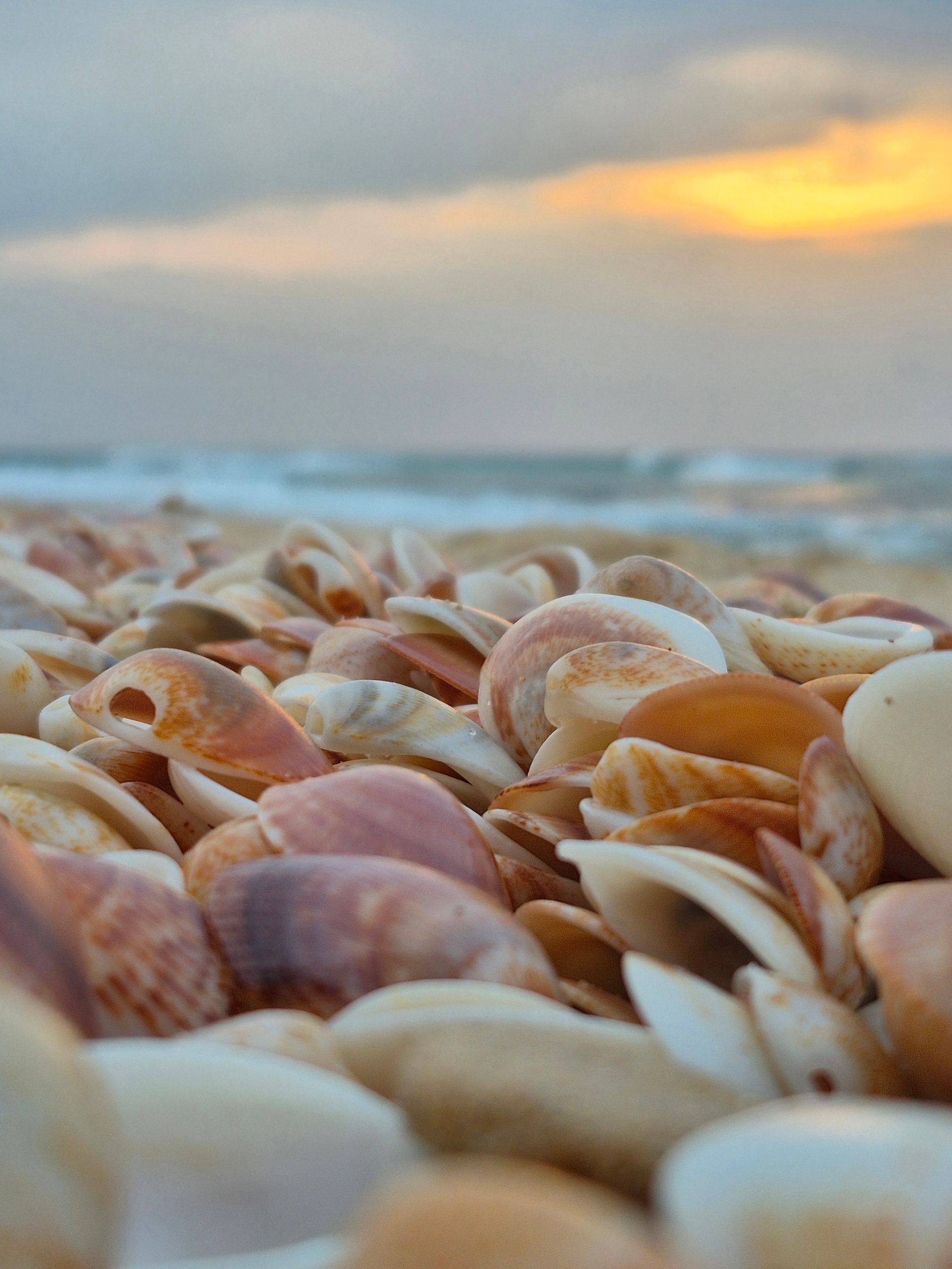 לדעת לצלם בסלולרי רגעים של ים