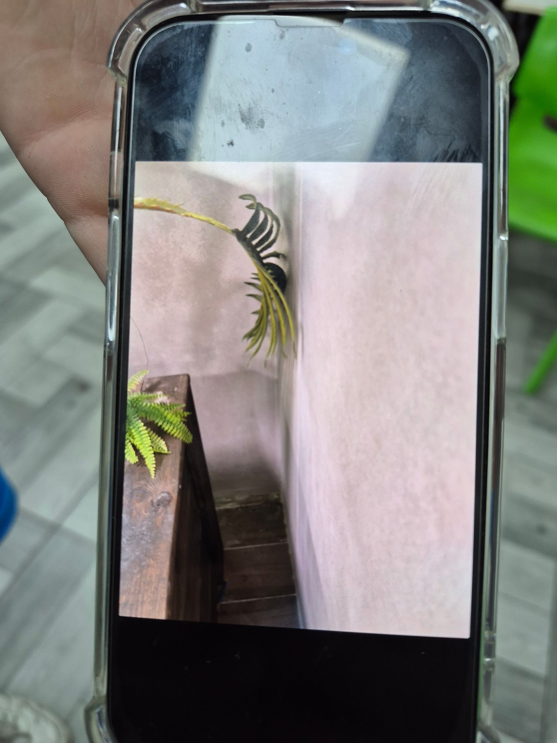 סדנת צילום בסלולרי; סדנת צילום בסמרטפון ;סדנת צילום בדרום ; סדנת צילום לארגונים ;סדנת צילום פרטית