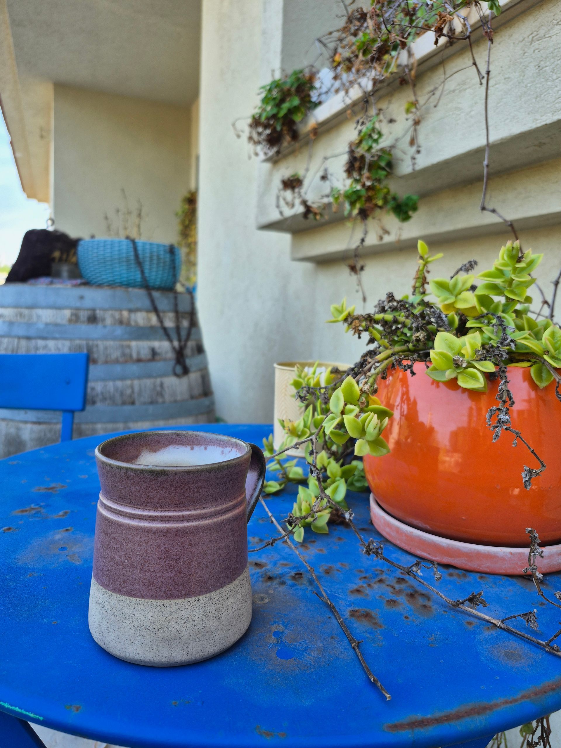 ללמוד לצלם רגע בזמן במצלמת הסלולרי , סדנת צילום בסמרטפון