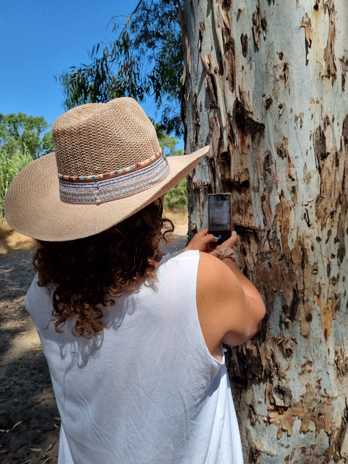 סדנאות צילום בסלולרי ; סדנאות צילום לקבוצות