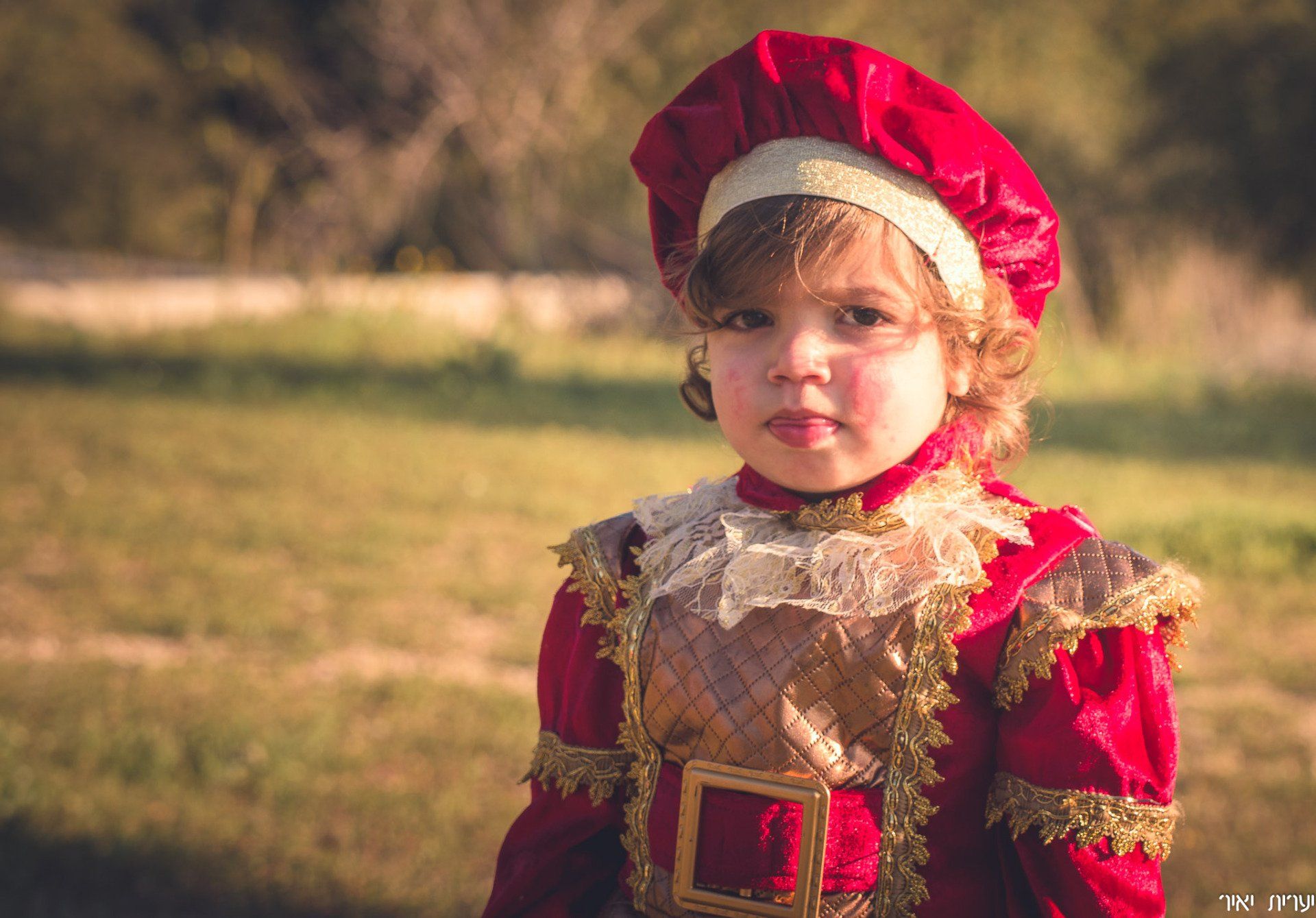 צילומי משפחה בטבע