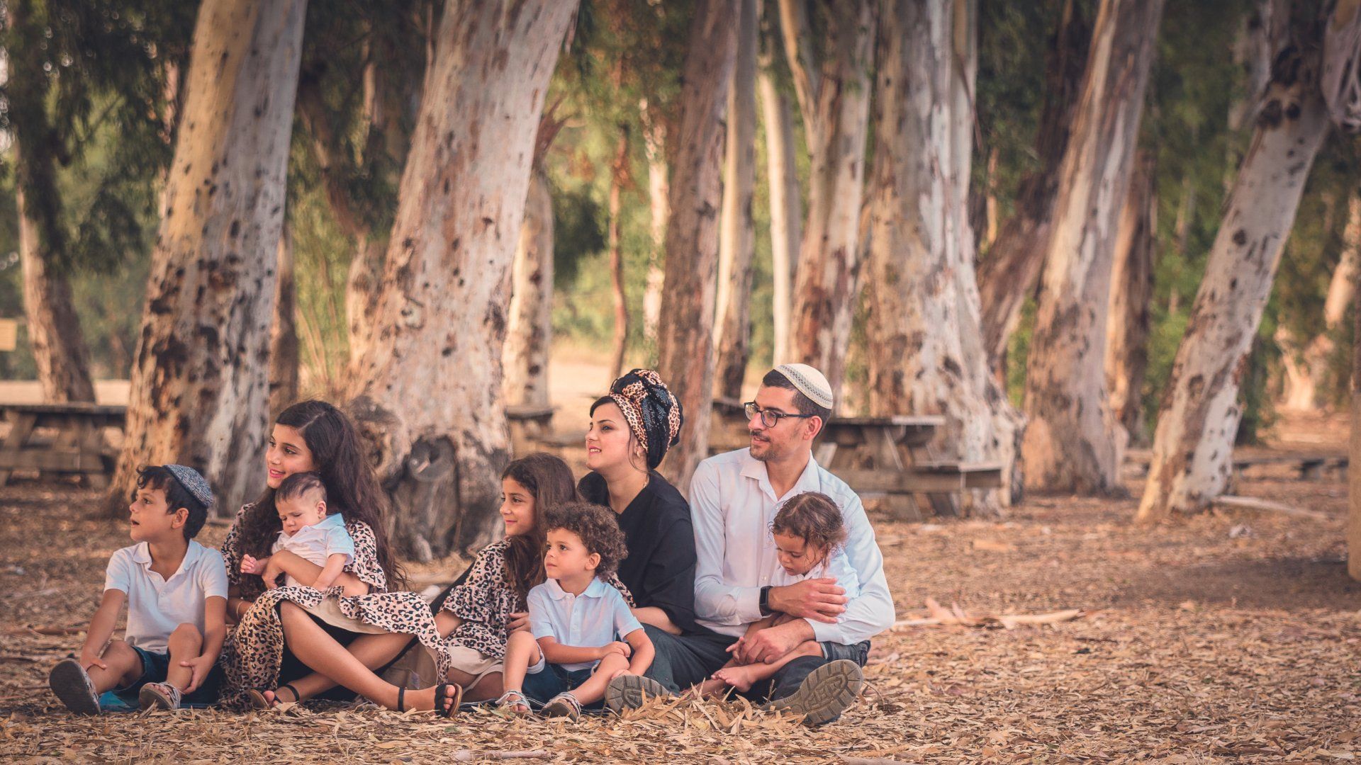 צילומי משפחה בטבע