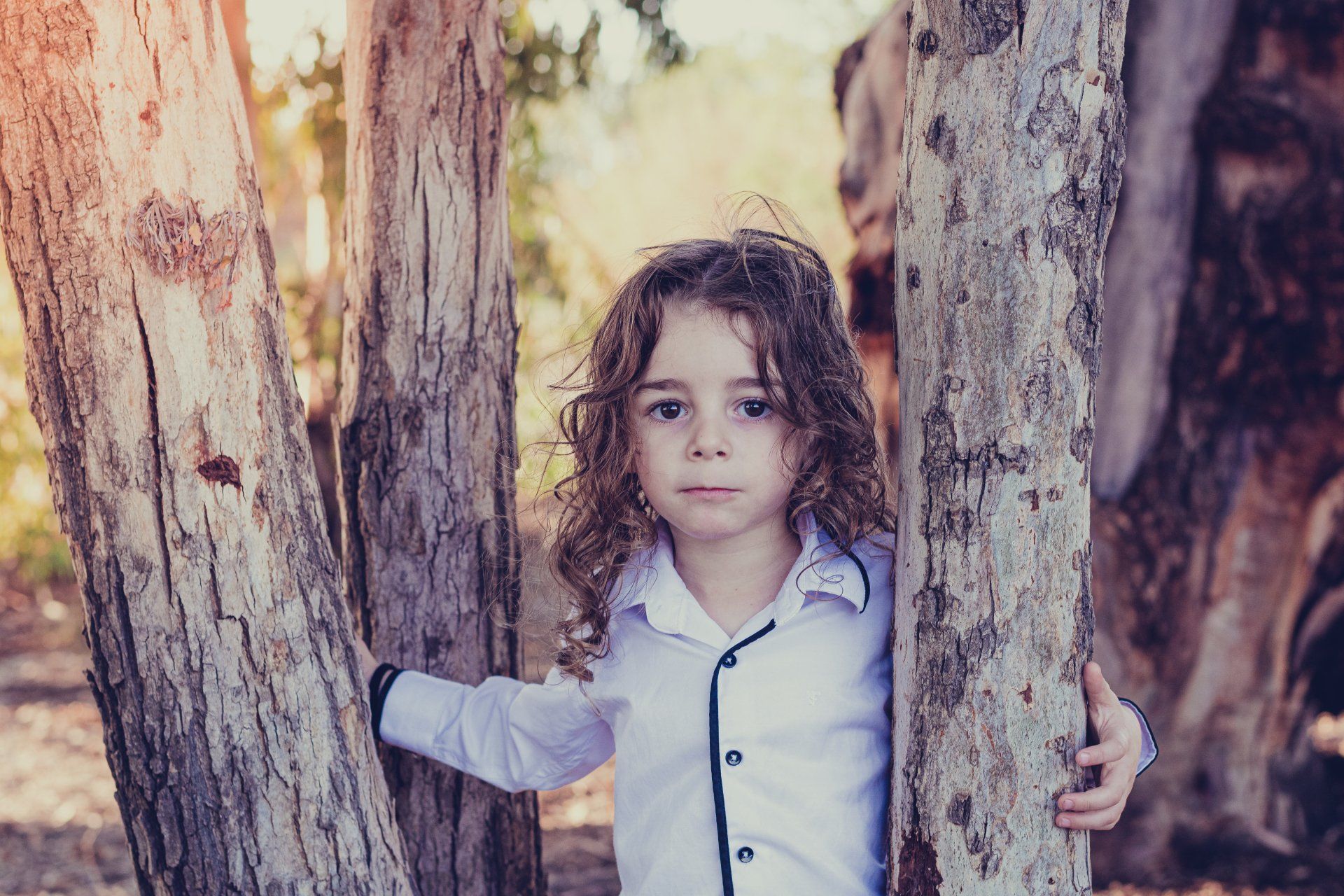 צילומי משפחה בטבע