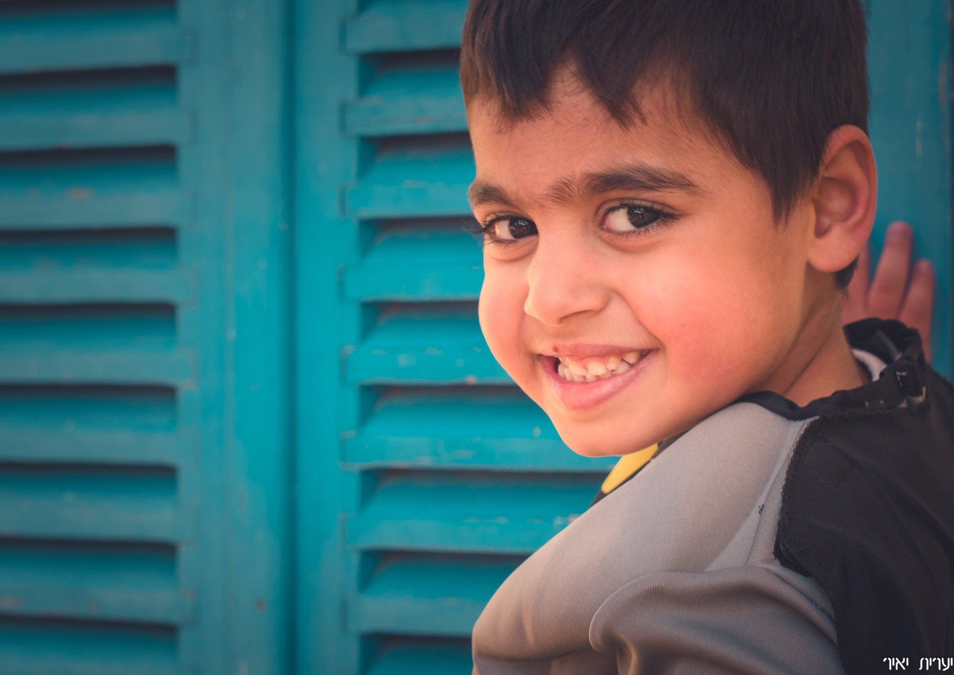 צילומי משפחה בטבע