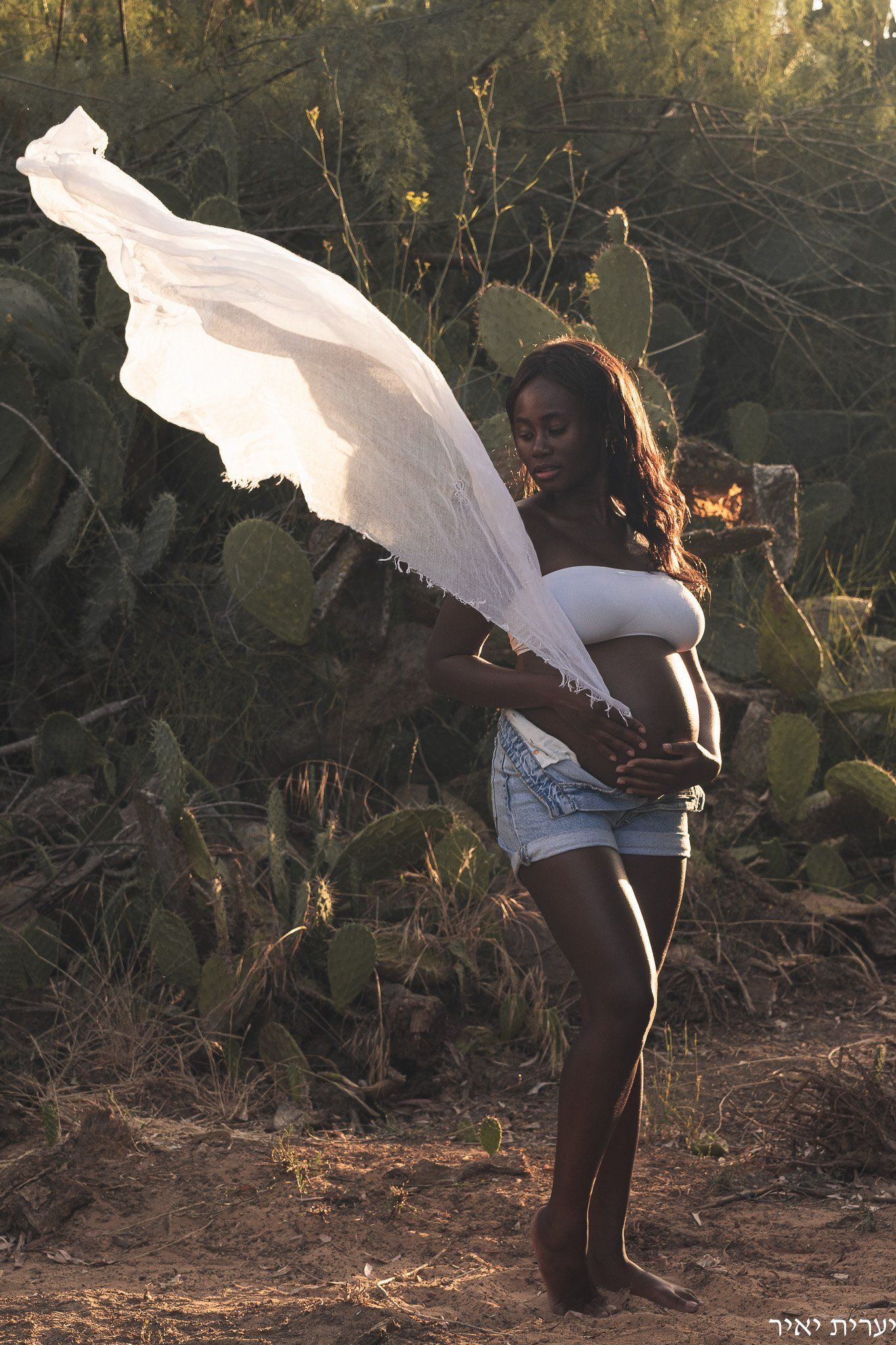 צילומי הריון בטבע