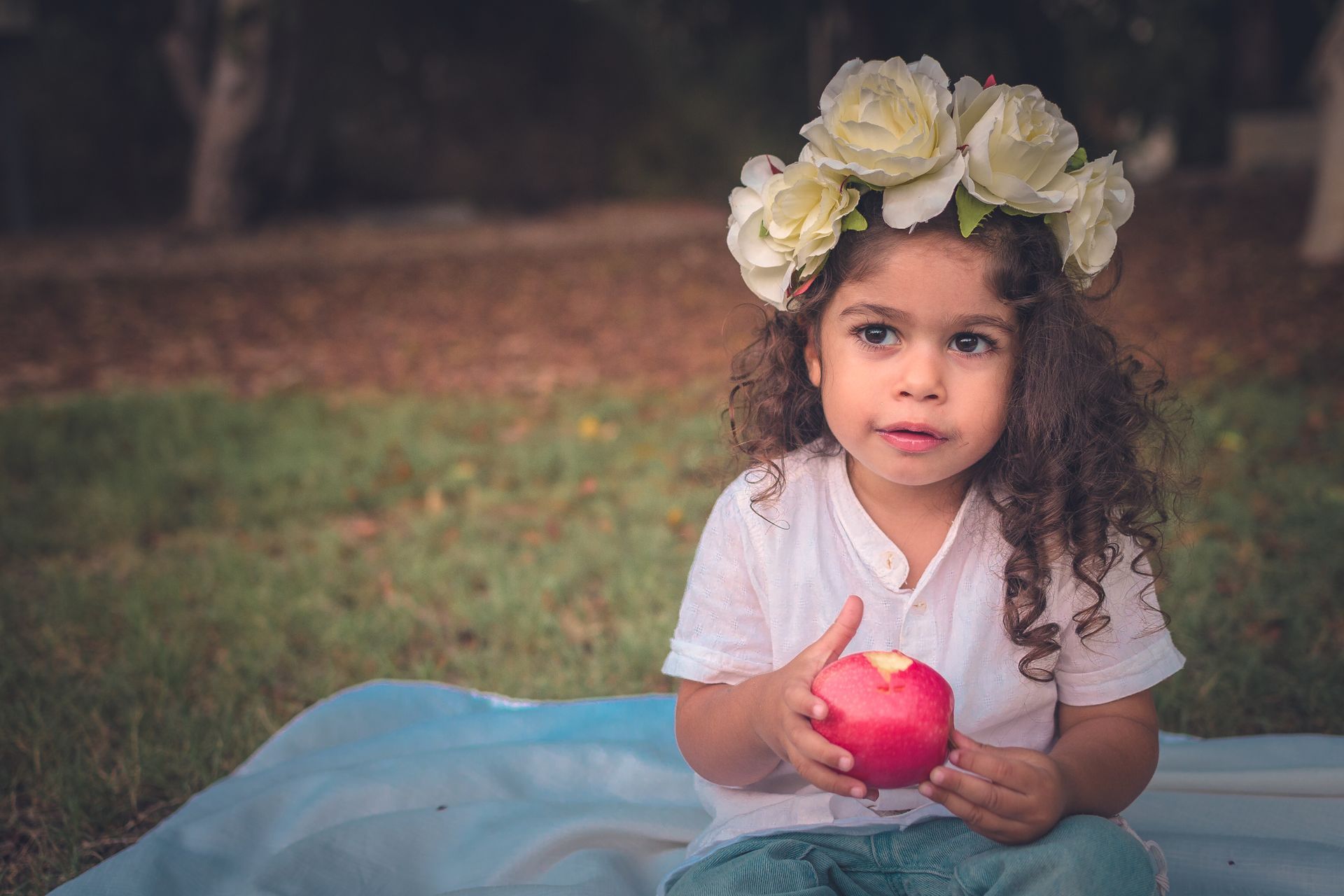 צילומי משפחה בטבע