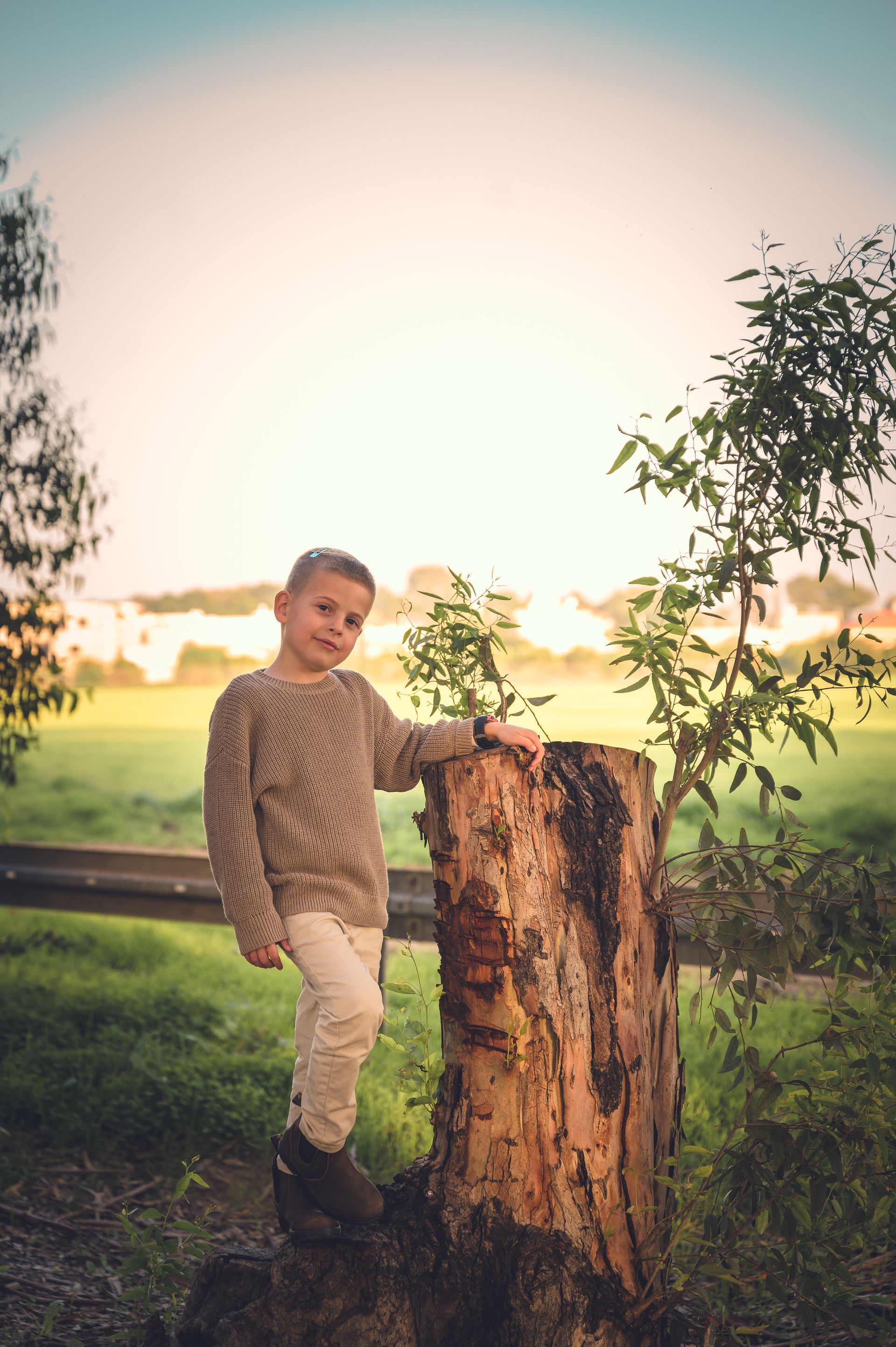 ילד קטן ליד גזע חתוך בחורשה