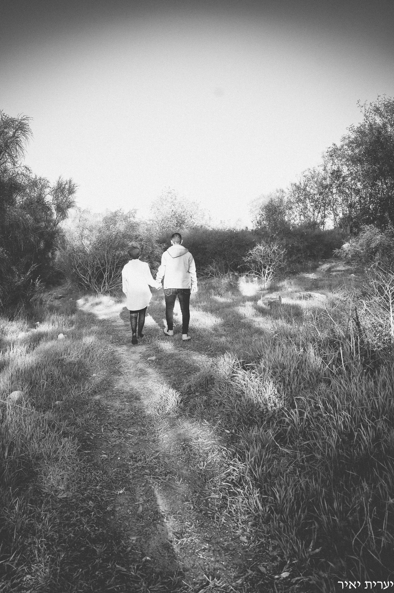 צילומי הריון בטבע