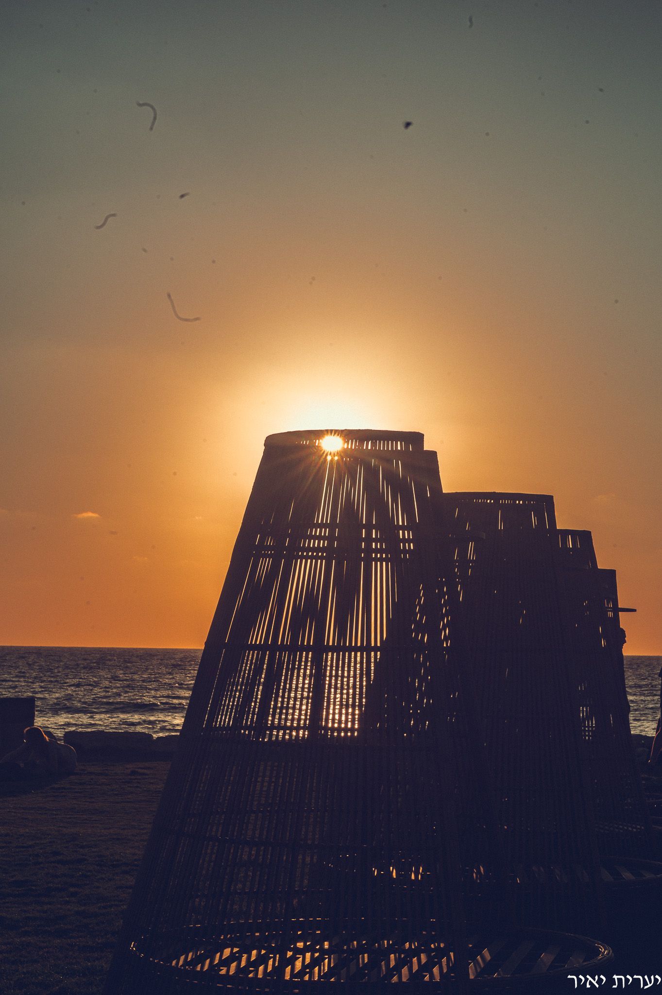 צלמת מקצועית צילמה בשקיעה