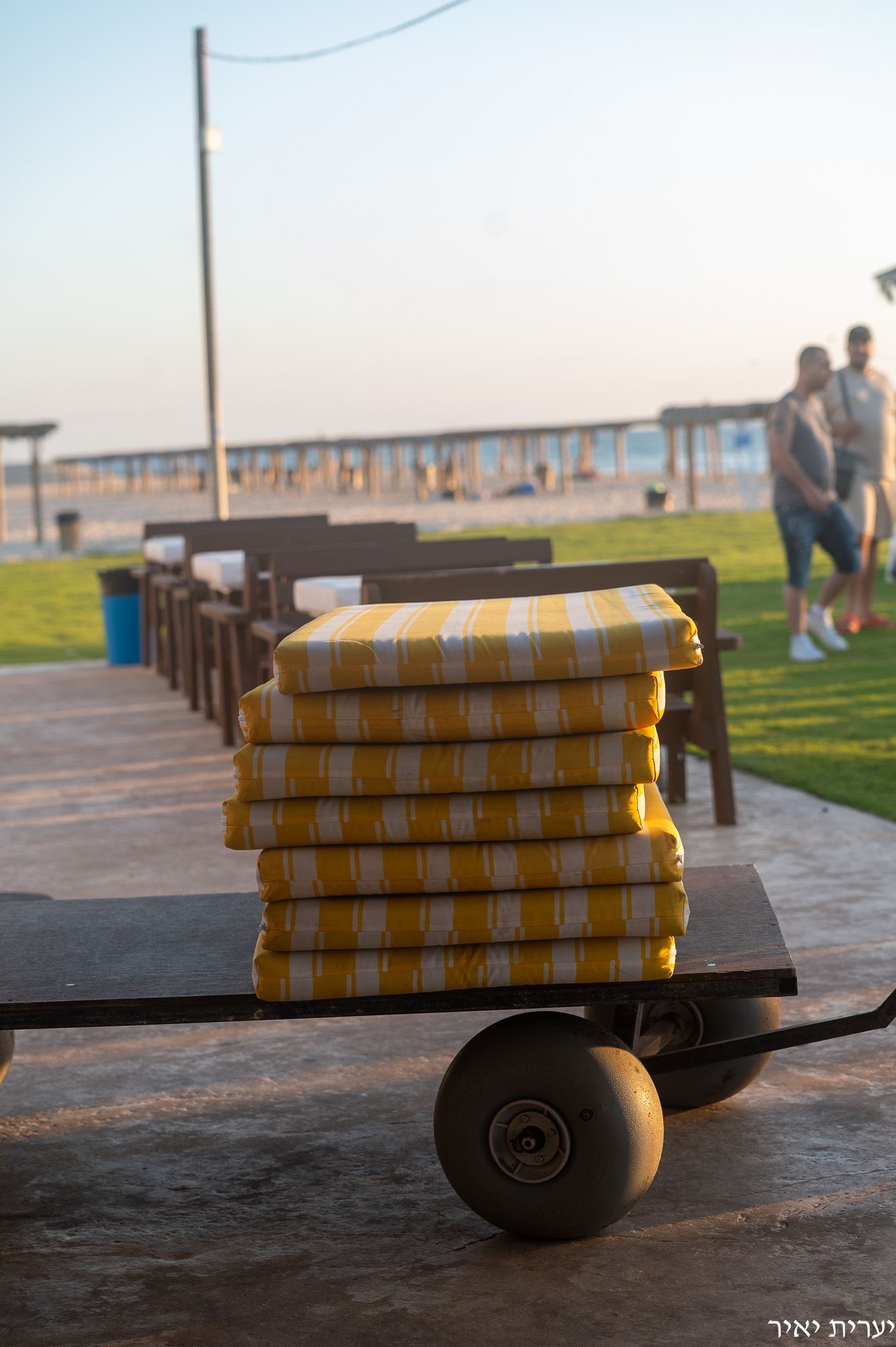 צלמת מקצועית צילמה בשקיעה