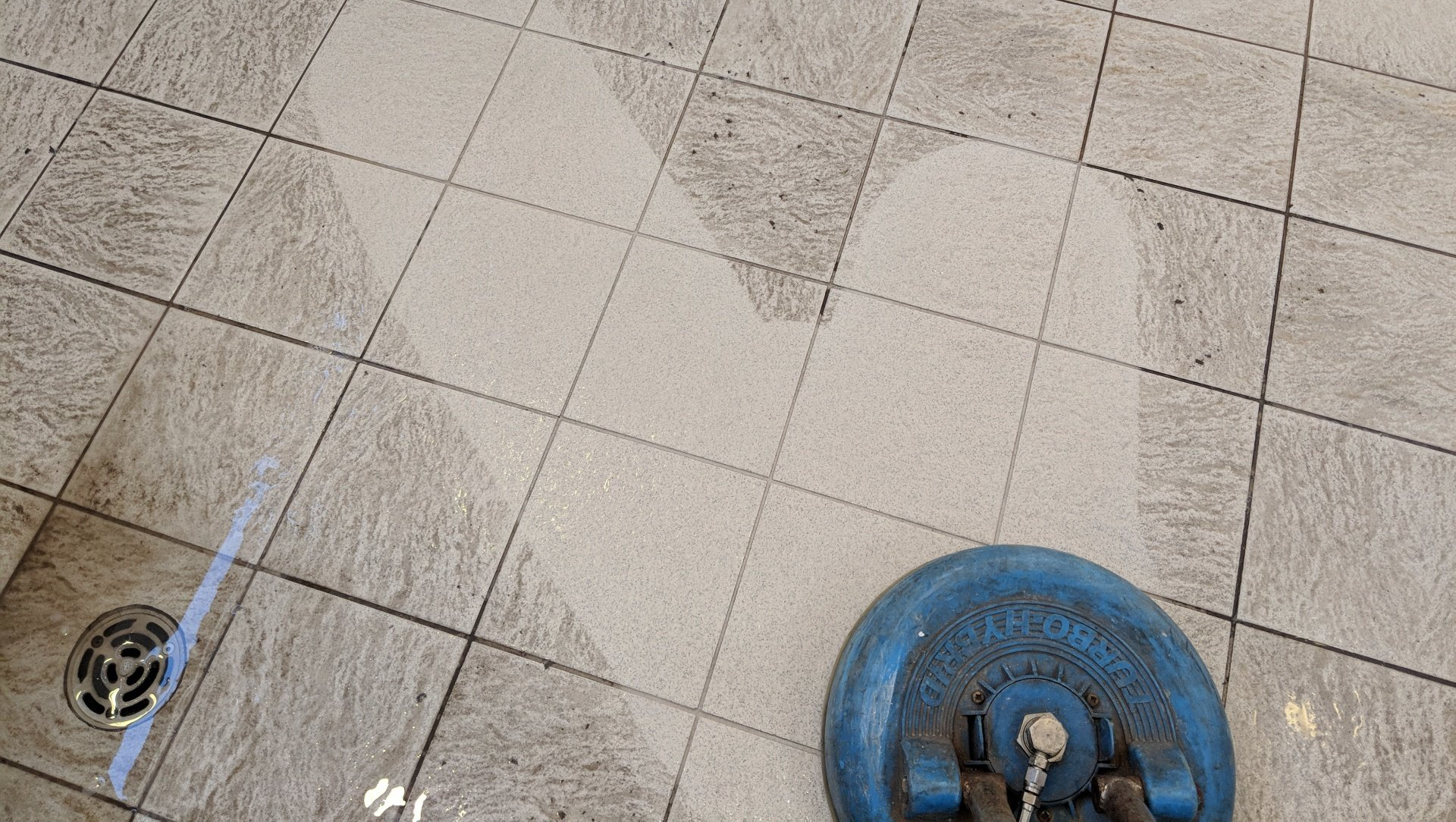 carpet cleaning specialists