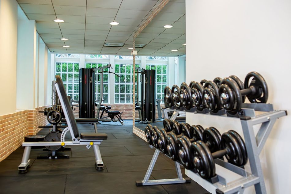 Uma academia cheia de halteres e equipamentos de exercícios.