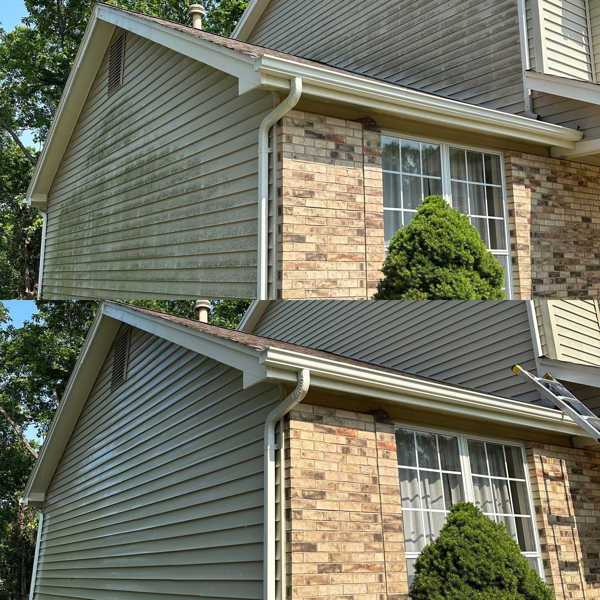 House Washing Service