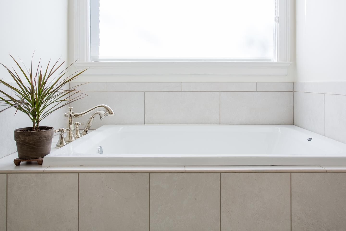 White bathtub in a bathroom with a plant on the left, and window in the background.