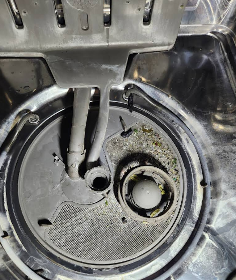 Inside of a dishwasher: gray mesh filter with food debris, black drain holes, and tubing.