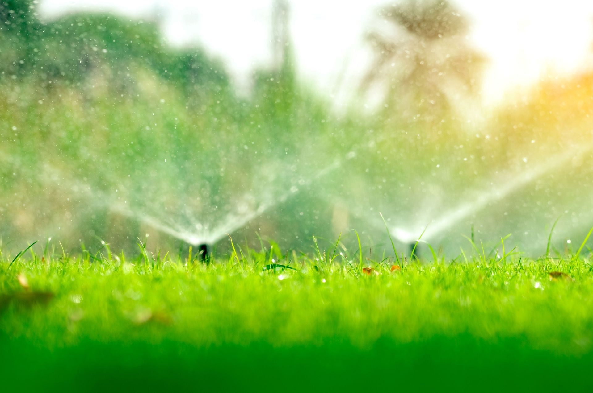 Lush green grass being watered by a sprinkler system with water droplets in the air.