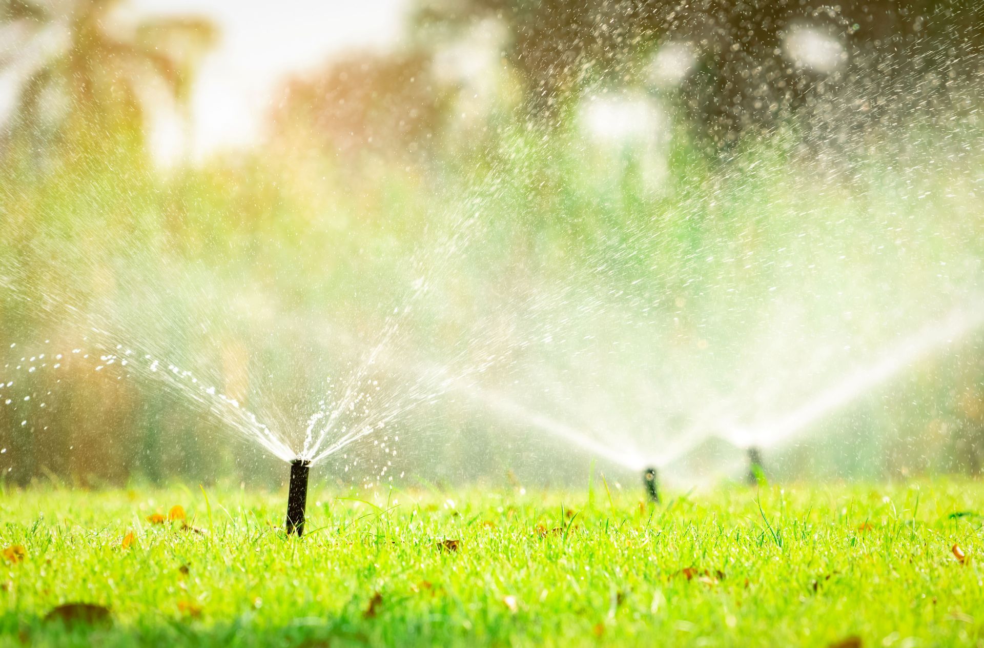 Sprinklers watering green grass in a sunny outdoor setting; water droplets visible.